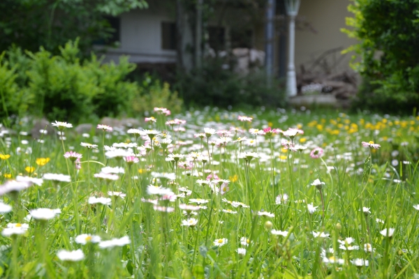 Christian Gartenhotel